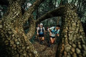 BIB: 
                            <button type="button" onclick="openModal(25668613)" class="btn btn-primary btn-sm float-right btn-popup" data-toggle="modal" data-target=".modal-high-quality">
                        <i class="fas fa-shopping-cart"></i> Add to Cart
                    </button>
                                            <button type="button" onclick="isThisMe(25668613, true)" class="btn btn-success btn-sm float-right btn-popup btn-isme hidden" data-toggle="tooltip" data-placement="bottom" title="นี่คือรูปของคุณใช่ไหม คลิกที่นี่เพื่อเอาเข้าอัลบั้ม">
                        <i class="fas fa-plus"></i> Add to album
                    </button>
                    <button type="button" onclick="isThisMe(25668613, false)" class="btn btn-warning btn-sm float-right btn-popup btn-isnotme hidden">
                        <i class="fas fa-ban"></i> Remove from album
                    </button>